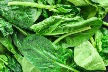 spinach green fresh leaves the petals snack vegetables bush green stems and petals Menu concept serving size. food background top view copy space for text keto or paleo diet 