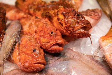 fish on the grill
