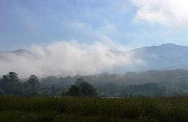 Fototapeta premium morning fog in spring