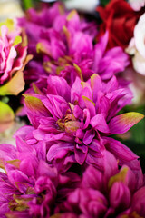 Fototapeta premium close up of pink hydrangea flowers