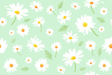 Obraz premium Vector pattern illusration white daisy flowers and leaves on a green background. EPS10.