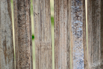 wooden fence 