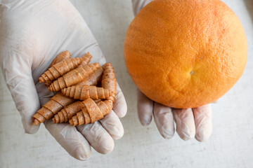 Handcrafted pastille with fresh and dried fruits
