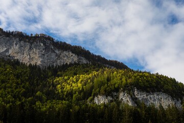Scenic View Of Green Landscape