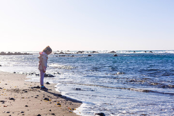 Atlantic ocean wild coast, Tenerife, Canary islands, Spain