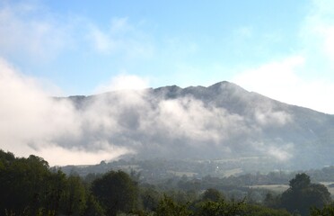 morning fog in spring