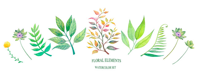watercolor set of green floral elements