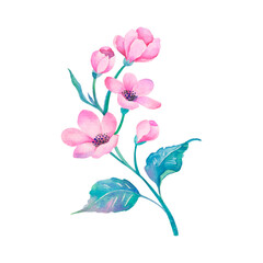 watercolor pink flower, hand drawn floral element for design