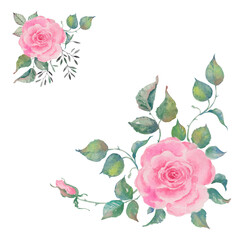 Watercolor rose collection, set of floral elements