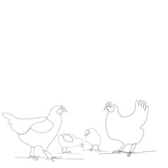 vector, white background, continuous line drawing of chickens and chicken