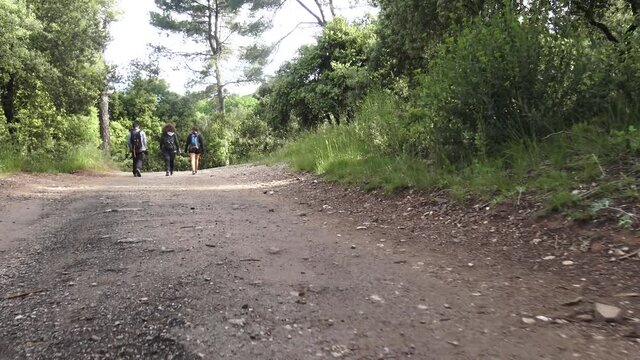 camino de subida a la Mola ,Terrassa