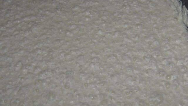 発酵