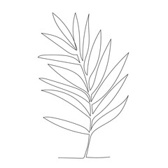 white background, palm leaf continuous line drawing