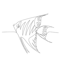  isolated, single line drawing continuous, fish
