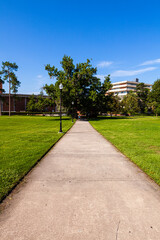 Typical University Campus