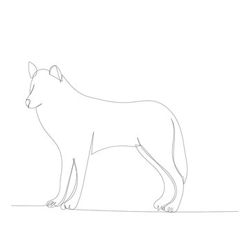 vector, isolated, continuous line drawing of a female wolf
