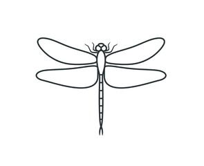 Dragonfly outline. Isolated dragonfly on white background