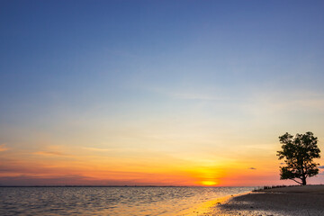 Fototapeta na wymiar sunset on the beach and alone tree