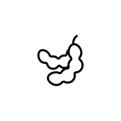 Tamarind vector icon in linear, outline icon isolated on white background