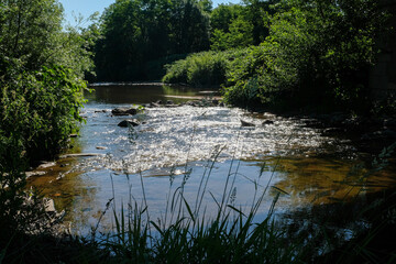 Au bord de la rivière