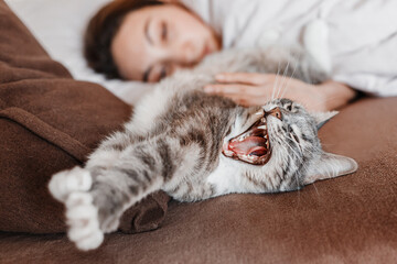 Owner girl sleeps in a cozy bed next to her favorite yawning pet cat.