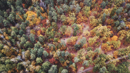Fototapeta na wymiar autumn landscape. aerial view of colorful forest. drone shot