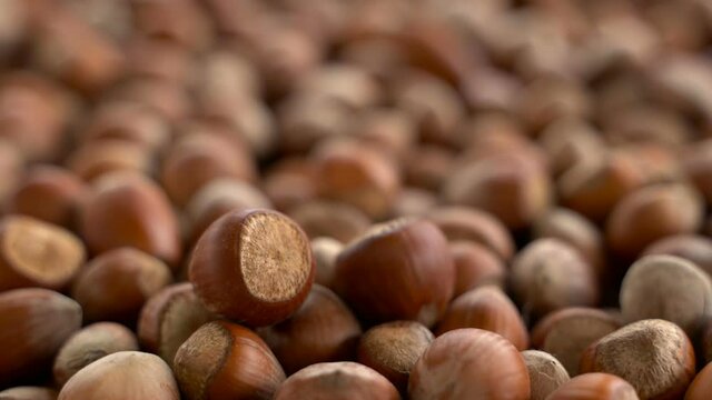 Nuts focus on close-up. turkish hazelnuts cinematic sequence. organic dried nuts. Food video shoot