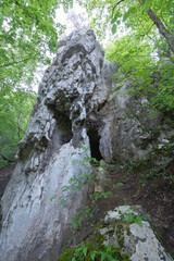 okna jaskini Mamut pionowy kadr © Mariusz Sowula