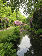 Wunderschöne Gartenlandschaft mit Blumen