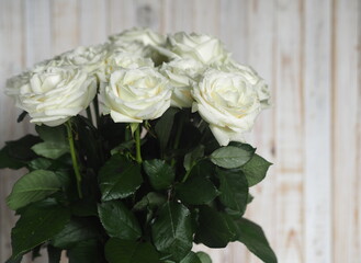 Floral card. Beautiful white rose on a wooden background, top view.