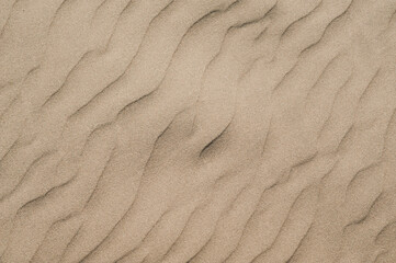 fine beach sand, brown color