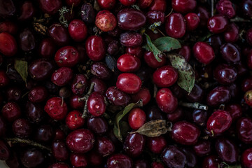Cranberries