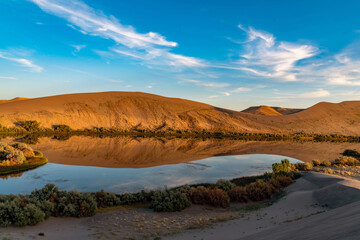 Reflective Oasis