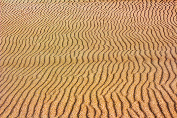 background of desert sand waves