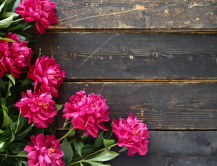 Place for a congratulatory text.Spring floral background. Burgundy peonies on a dark wooden background.