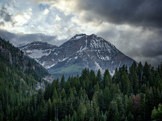 Obraz premium Aline landscape with a forest in the foreground and snow on the peak