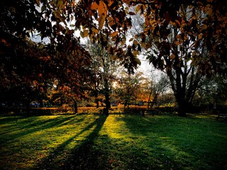 sunset in autumn