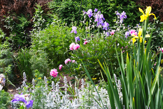 Bauerngarten im Sommer, Garten mit vielen Stauden und Blumen, Gartenarbeit und Hausgarten als Ausgleich