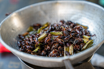 Southeast Asia, Thailand fried crickets are cooked by oil in the pan with outdoor portable picnic gas stoveat.