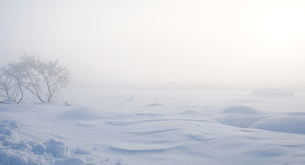 Fototapeta na wymiar Frosty fog over a snow field in Altai
