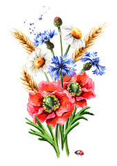 Summer bouquet of chamomiles , poppies, cornflowers and wheat ears. Hand drawn watercolor illustration, isolated on white background