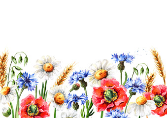 Wild meadow flowers poppies, cornflowers, daisies, chamomile and ears of oats and wheat. Hand drawn watercolor illustration, isolated on white background
