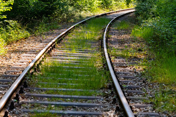 Eisenbahn Kurve Gleis Bogen Schienen Gras Strecke Schleifkottenbahn Draisinen Halver Oberbrügge Sauerland Wald Natur Landschaft grün Deutschland stillgelegt Wuppertalbahn Schwellen Unkraut Vegetation