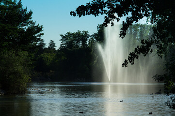 krajobraz park zieleń woda natura fontanna - obrazy, fototapety, plakaty