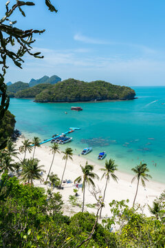 Coconut palm trees beach in Angthong national marine park, koh Samui, Suratthani, Thailand