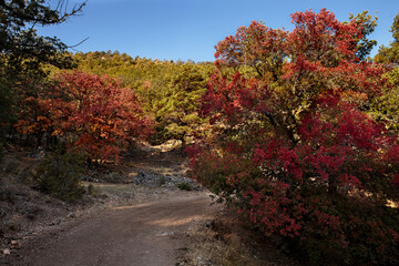 Otoño en Albarracín