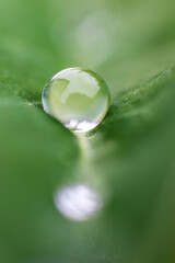 Macro of a dew drop on a green leaf
