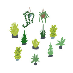 Fototapeta na wymiar Houseplants vector illustration set. Succulents and greenery handdrawn plants.