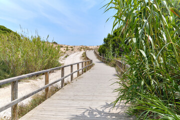 Wooden empty board walk leading through sandy dunes to Mediterranean Sea and beach of Los Arenales del Sol or Arenals del Sol. Costa Blanca, Europe, Spain. Espana