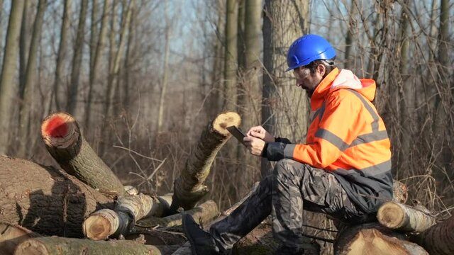 Forestry technician using digital tablet computer in forest - Powered by Adobe